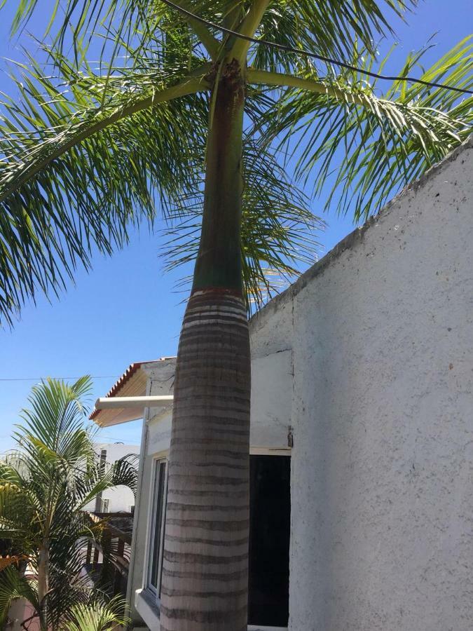 Zona Dorada Apartment *